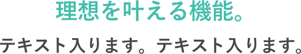 理想を叶える機能。テキスト入ります。テキスト入ります。